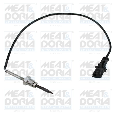 Sensor, exhaust gas temperature